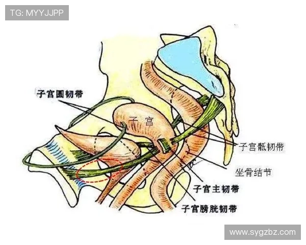 阿莱格里关注莱奥耻骨问题需谨慎使用