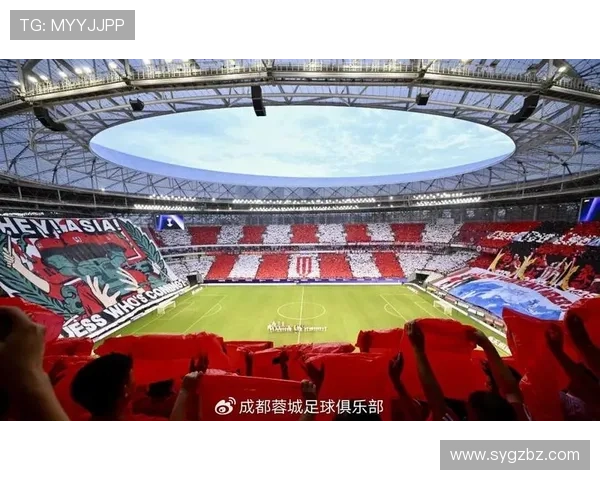 成都唯一全勤球迷：从陪伴到十万开销的热爱